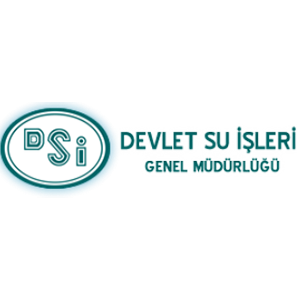 Dsi
